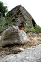 Butterfly and Mountain