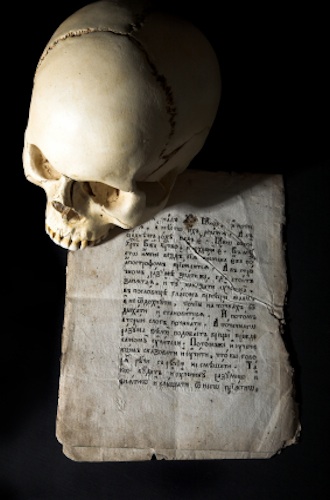 Skull_article