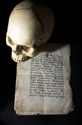 Skull_article
