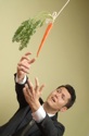 Chasing Carrot